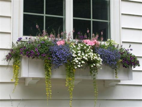 Of quaint home with decorative love love hearts, home sweet home concept. Eye Catching Entrances with Plants | Suzanne Fletcher ...