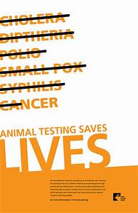 animal testing cons essay