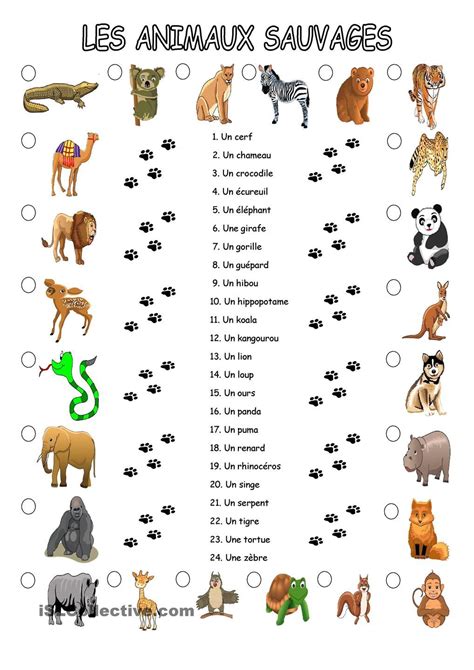 Les Animaux Sauvages French Vocabulary Teaching French French