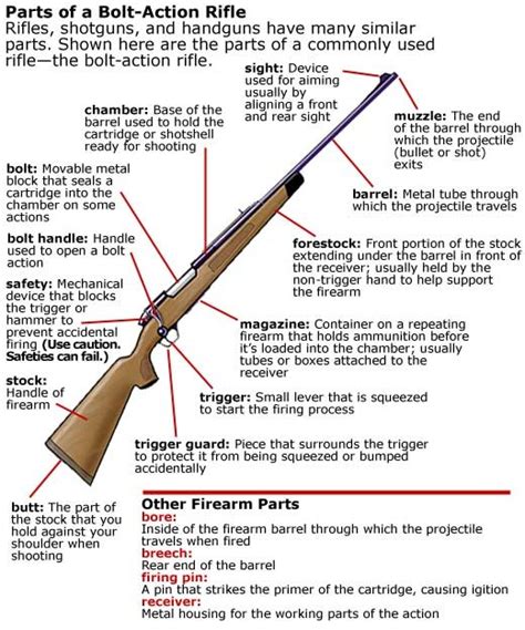 Parts Of A Bolt Action Rifle Work Pinterest Rifles E Ação