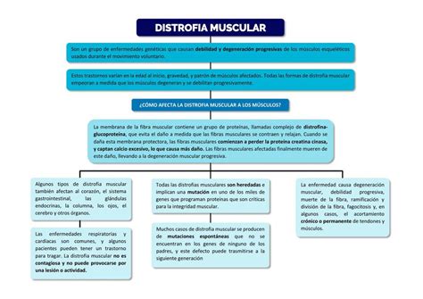 Distrofia Muscular De Duchenne By Adriana Mesias My XXX Hot Girl