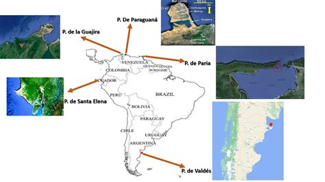 Accidentes Geográficos Penínsulas De América Del Sur Youtube