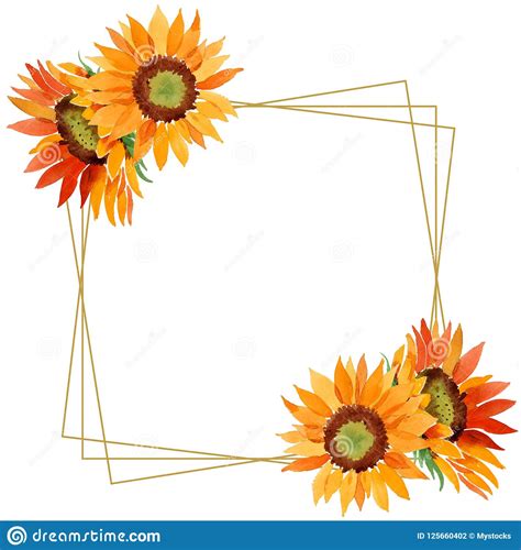 Watercolor Orange Sunflower Flower Floral Botanical Flower Frame