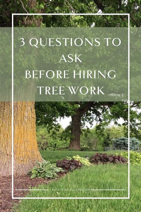Three Questions To Ask Before Hiring Tree Work