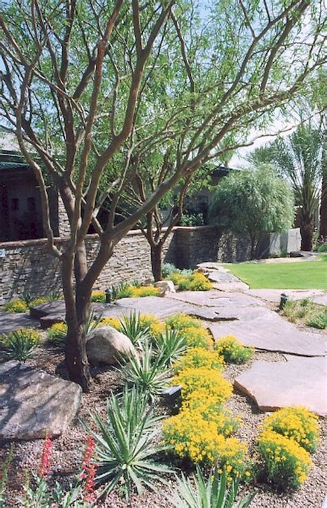 50 Simple Low Maintenance Front Yard Landscaping Ideas
