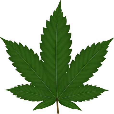 Marijuana leaf icon in cartoon style isolated on white background. Cannabis Leaf Clip Art at Clker.com - vector clip art ...