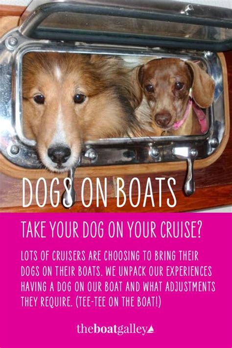 Boat Dogs 101 The Boat Galley