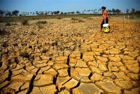 Contoh Teks Eksplanasi beserta Pengertian, Struktur, Ciri dan Kaidah