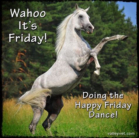 Happy Friday Quotes And Funny Horse Memes