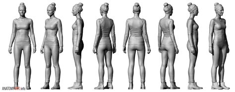 Female Anatomy Reference Anatomy Reference Body Reference