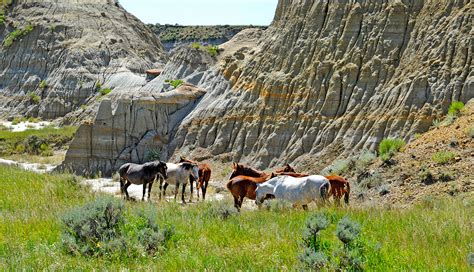 Guide To Visiting Theodore Roosevelt National Park
