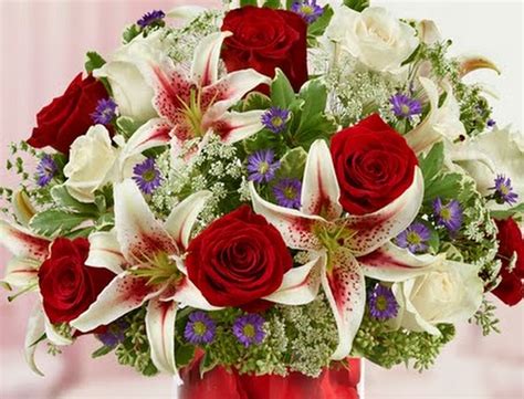 › how to identify a flower. Google Offers: $15 For $30 Voucher To 1800 Flowers ...