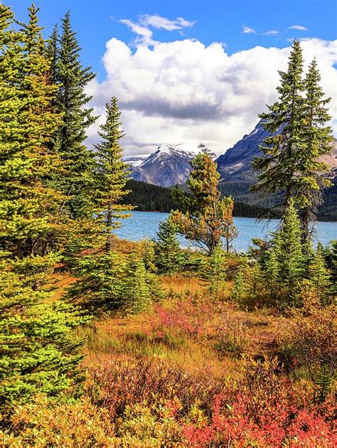 Autumn In The Canadian Rockies By Dan Sproul Canadian Rockies