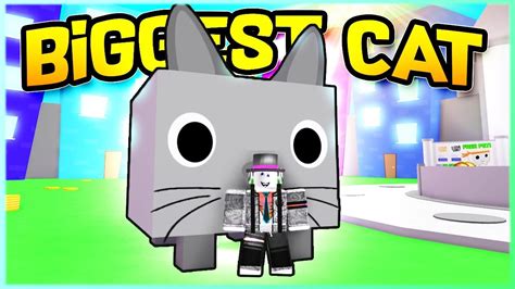 Pet Simulator Codes Giant Cat I Got The Big Cat For Free Pet