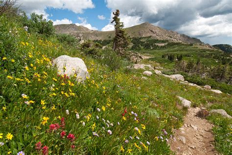 Colorado Mountain Summer Photograph By Cascade Colors Fine Art America