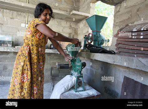 Thambattai Sri Lanka A Woman In A Rice Mill Stock Photo Alamy