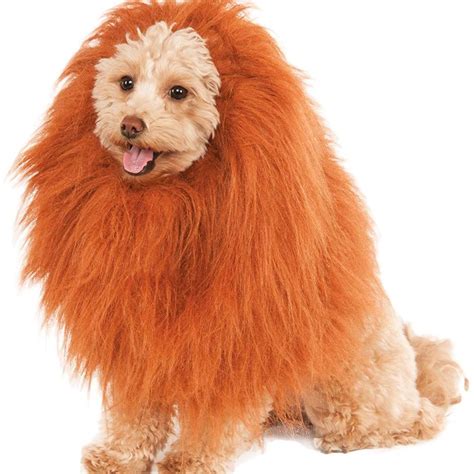 15 Too Cute Halloween Costume Ideas For Dogs Dog Costumes Halloween