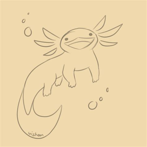 Axolotl Drawing Easy How To Draw An Axolotl Step By Step Easy Easy Images