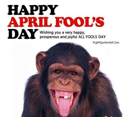 April Fool Quotes Wishes Pranks And Ideas April Fool Quotes