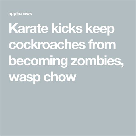 Karate Kicks Keep Cockroaches From Becoming Zombies Wasp Chow — Scienmag Karate Kick Karate
