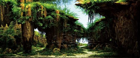 Takashi amano x oceanário de lisboa the road to the world's largest nature aquarium takashi amano, the aquascaper representing japan stunning japanese nature style aquascapes by the renowned takashi amano. Amano Takashi "Nature Aquarium" exhibition at Gallery AaMo ...