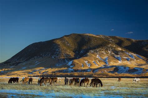 Snowy Range Centennial Wy Amazing Places On Earth Wyoming