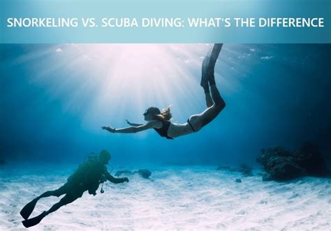 Snorkeling Vs Scuba Diving Whats The Difference Smacodive