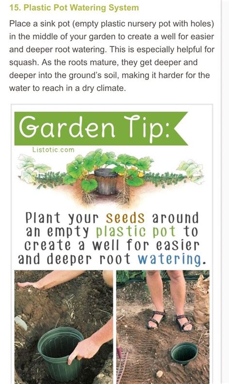 20 Insanely Clever Gardening Tips And Ideas Gardening Tips Recycled