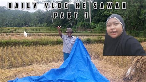 Daily Vlog Ke Sawah Part 1 Youtube