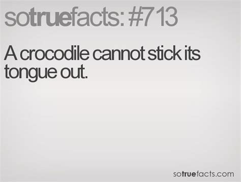 Sotruefacts Fact Number 713 Fun Facts Funny Facts Weird Facts