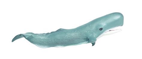 Safari Ltd Sea Life Sperm Whale Realistic Hand Painted Toy Figurine
