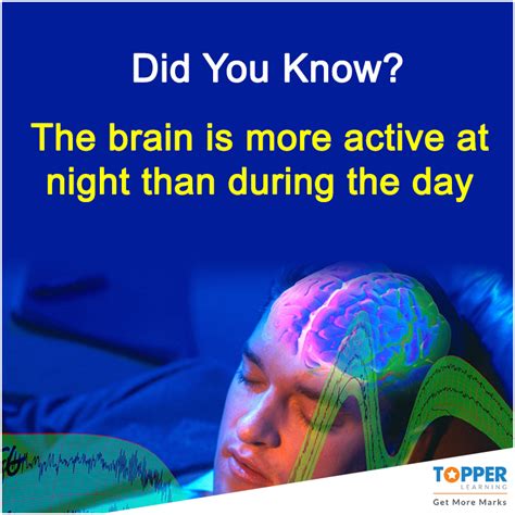 Didyouknow The Brain Is More Active At Night Than During The Day