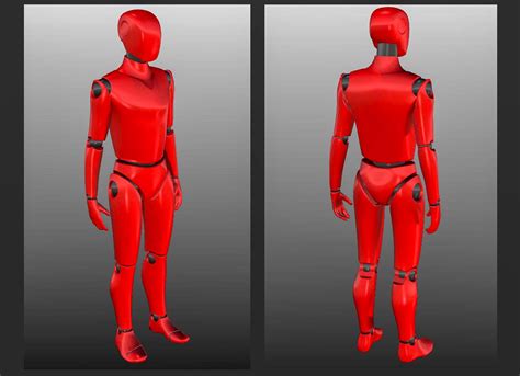 Free Stl File The Scale Of A Human 👨・3d Printing Template To Download・cults