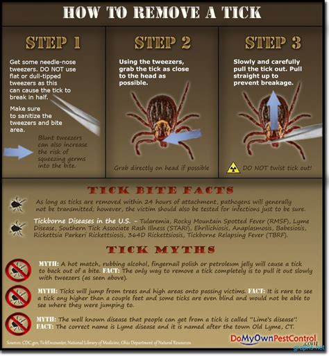 Tick Removal Process Infographics By