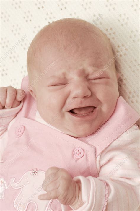 Crying Baby Girl Stock Image M8301984 Science Photo