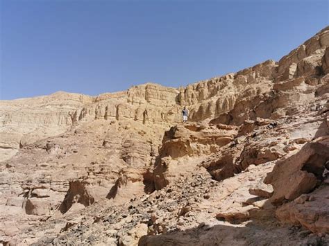 Timna Park Eilat 2020 Alles Wat U Moet Weten Voordat Je Gaat