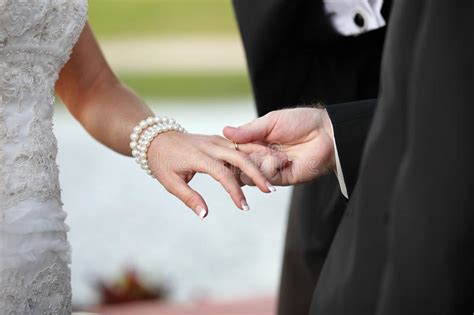 Couple Getting Married Stock Image Image Of Ring Newlywed 22794547