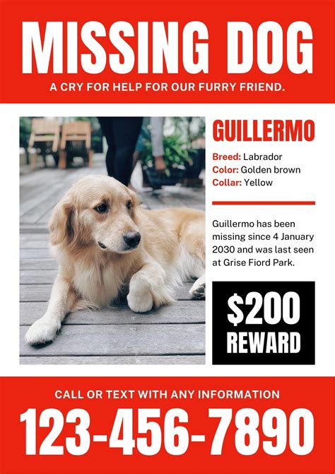 Design And Templates Editable Flyer Flyer Template Missing Dog Missing
