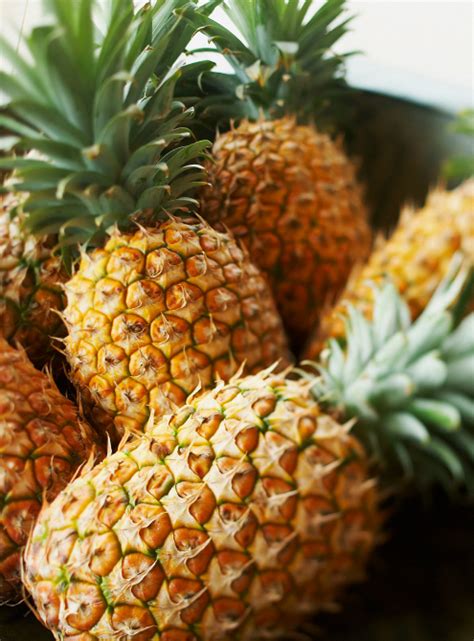 View josaphine pineapple research papers on academia.edu for free. Golden Pineapple - La Dona FruitLa Dona Fruit