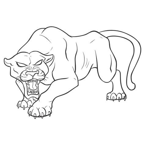 Как нарисовать Пантеру поэтапно карандашом