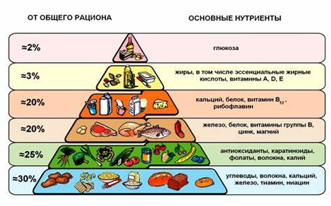 Диета жиры белки