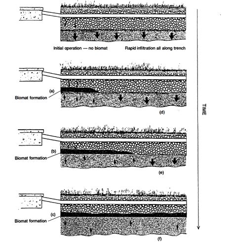 Wastewater Treatment in Soils — MARLIN - Septic Tank Cleaning
