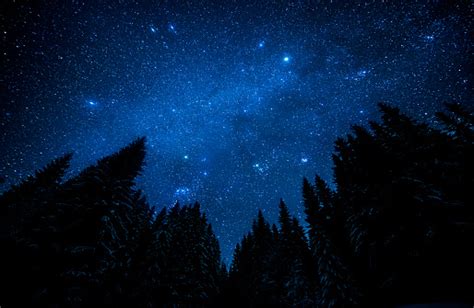 The Bright Starry Sky In The Night Forest Stock Photo Download Image