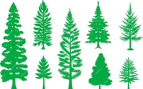 Premium Vector Set Of Spruce Trees Vector Illustration