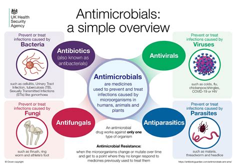 What Is Antimicrobial Resistance And Why Do We Need To Take Action