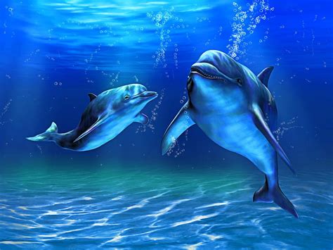 2k Free Download Deep Blue Sea Dolphins Hd Wallpaper Peakpx
