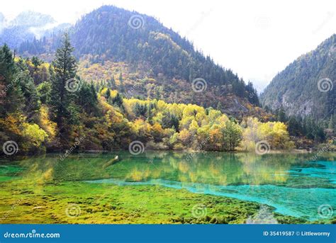 Five Flower Lake Jiuzhaigou Royalty Free Stock Photography Image