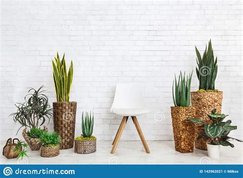 All of these garden background images and vectors have high resolution and can be used as banners, posters or. Home Garden And Chair On White Background Stock Image ...