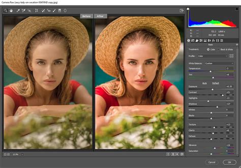 29 Pros And Cons Of Adobe Photoshop For Artists 2024