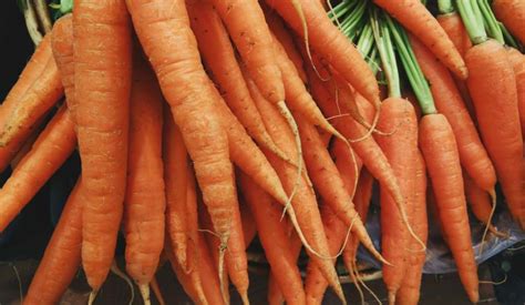 Can Eating Carrots Foods Turn Your Skin Orange May Simpkin